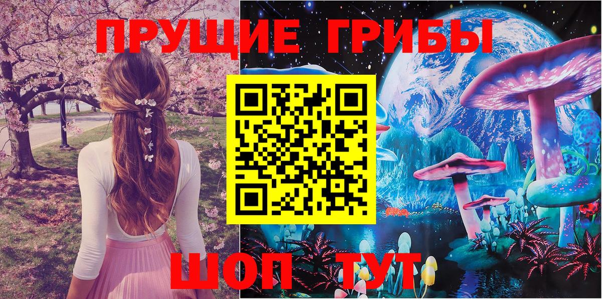 Галлюциногенные грибы Magic Shrooms Кувандык