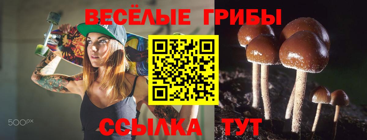 Псилоцибиновые грибы Psilocybine cubensis  Галлюциногенные грибы MAGIC MUSHROOMS  Вход с VPN  Кувандык 