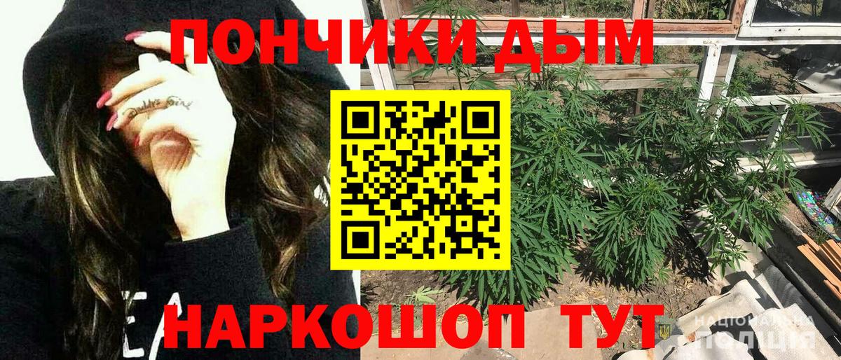 Каннабис планчик Кувандык
